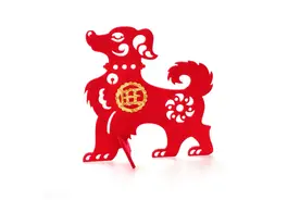 属狗人适合什么样的工作环境和职业类型？图片