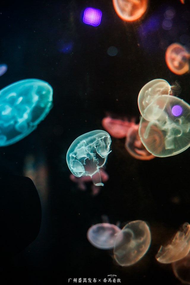 刷爆番禺人朋友圈的新地标，18000㎡的空间究竟藏着什么？