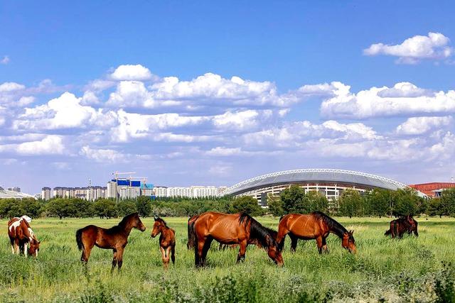 草原钢城，有鹿之地，中国B型城市旅游指南之包头