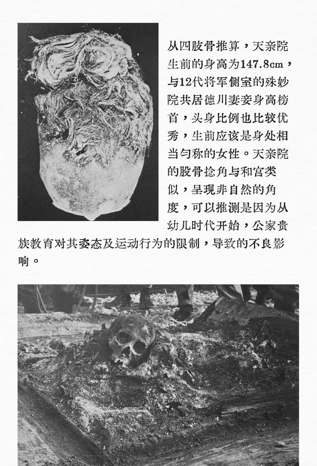 德川家定首任妻子兼皇室公主的天亲院遗骨发掘