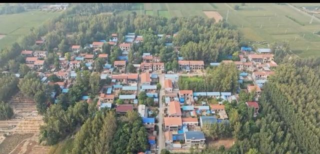 魅力曹县楼庄镇