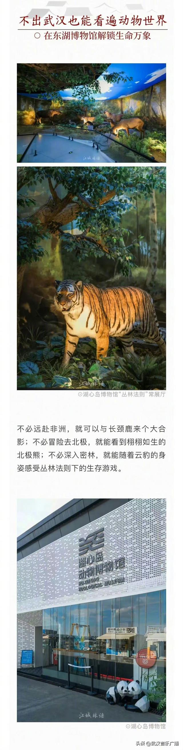 武汉藏在公园里的博物馆太好逛了