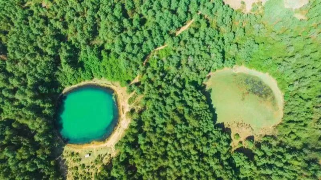 三宝街道宝藏玩法大揭秘！营地乐园、垂钓采摘、温泉美食、古寺山野...近郊遛娃度假首选地！