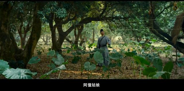 影版《长安的荔枝》有哪些优点