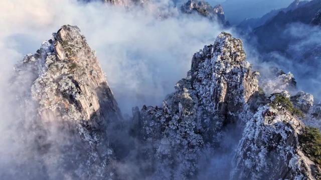 再忙也要来黄山，领取冬日雾凇云海双重“大礼包” | 皖美冬日