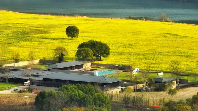 到杭州的山野，撒个欢