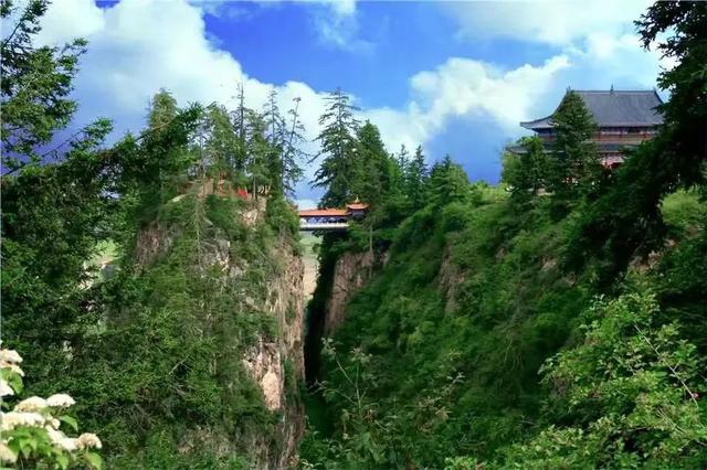 贵清山20℃的清凉秘境，让眼睛与心灵一起深呼吸