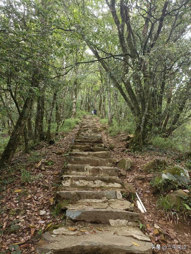 无为在歧路，贵州六日行（15）～梵净山