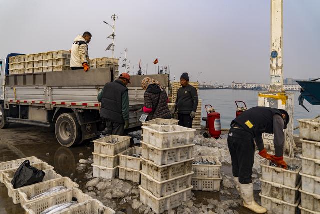 大连金州：中国北方最大的国家级渔港