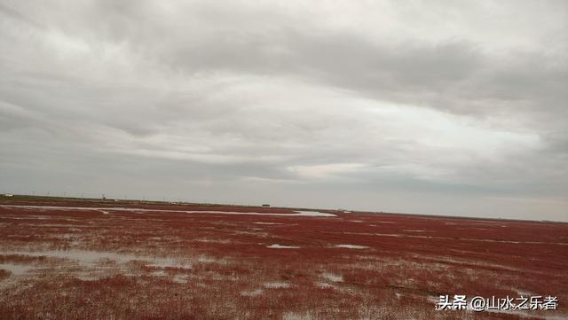 环游大东北之漫步锦州凌海红海滩