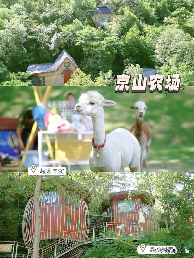 【知音湖北】逃离秋老虎！湖北5个神仙避暑地推荐
