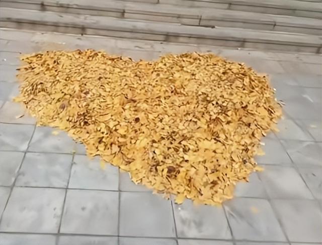 赴一场秋日之约，别把“火种”带上路