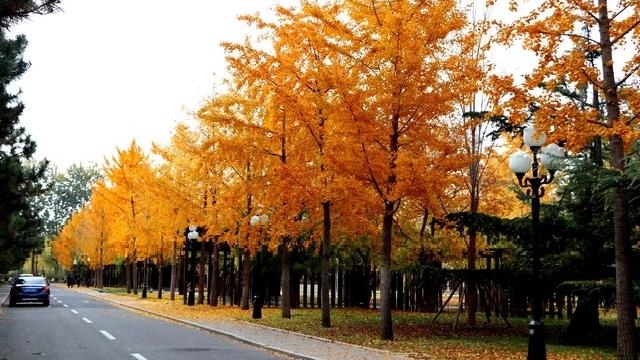 老钢笔里的记者节故事