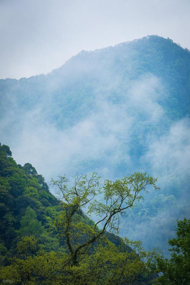 这座长江南岸的佛光之城，藏着安徽最能打的山水