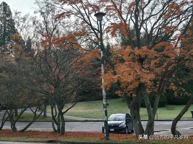 温哥华游记（四）