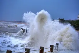 双警报齐发！今晨，日照海边卷起数米大浪！现场实拍→图片