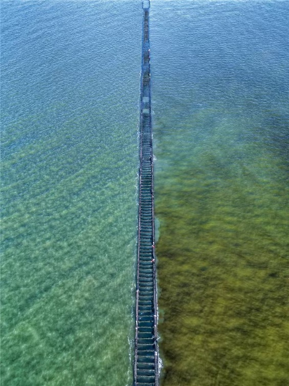 “我想离开浪浪山，去东营转转！”