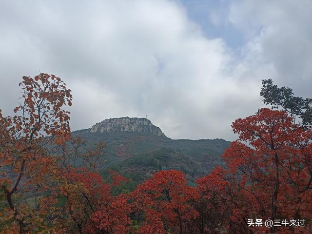 无为在歧路，济南红叶谷