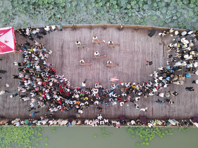 来镇赉环城湿地公园，体验“荷+”欢乐