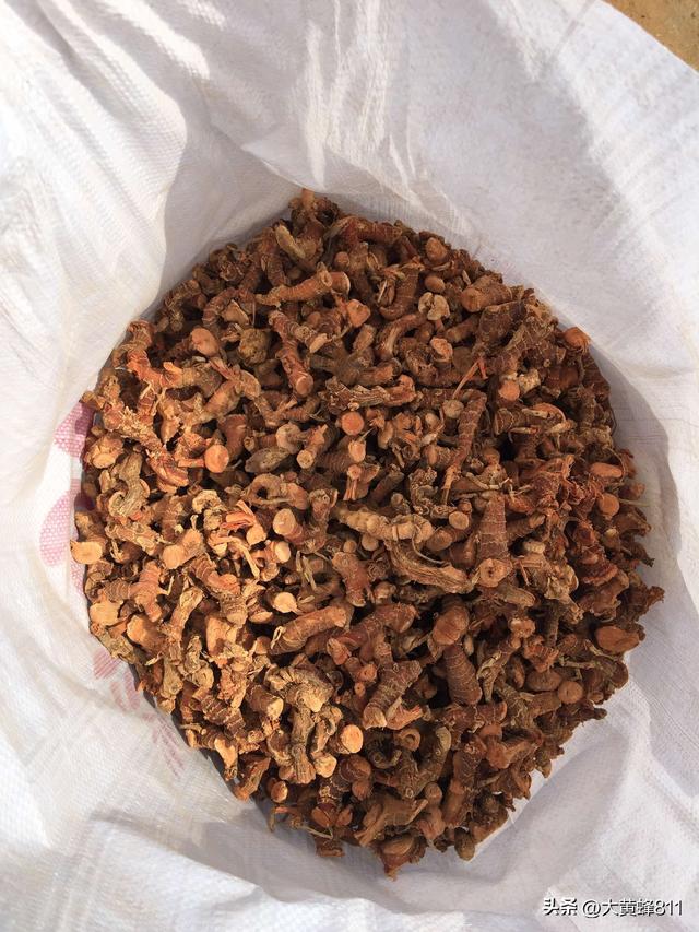 认识大美广东的每个县——第24波：徐闻