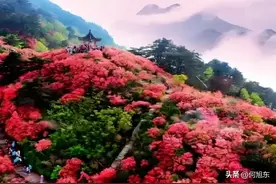 日常生活场景中的空气中的成分及比例图片