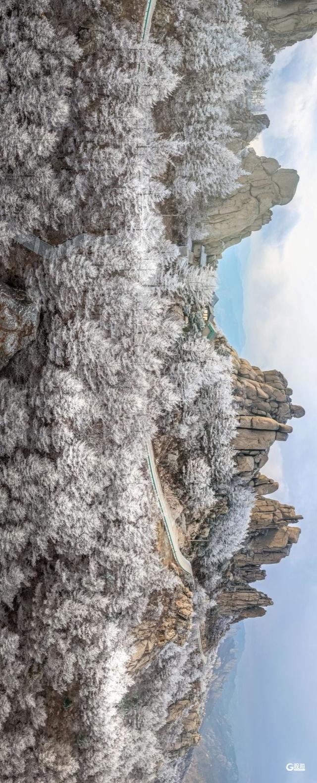 崂山迎来雾凇：石与松的素色禅意