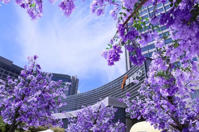 跟着唐汉霄《凌香里》打卡厦门！秋季街巷休闲游，周末逛起来→