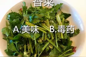 世界讨厌香菜日到了！关于它的“绯闻”你了解多少？图片