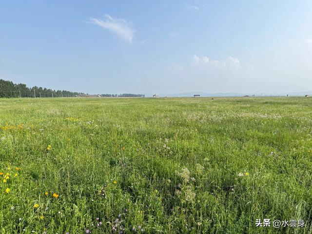 向北而行：北京自驾沽源、多伦、太仆寺旗的草原牧歌（2）沽源篇