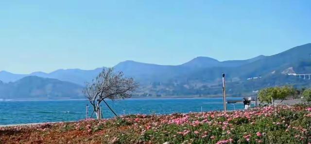 带着孙女去旅行（172）两游云南抚仙湖