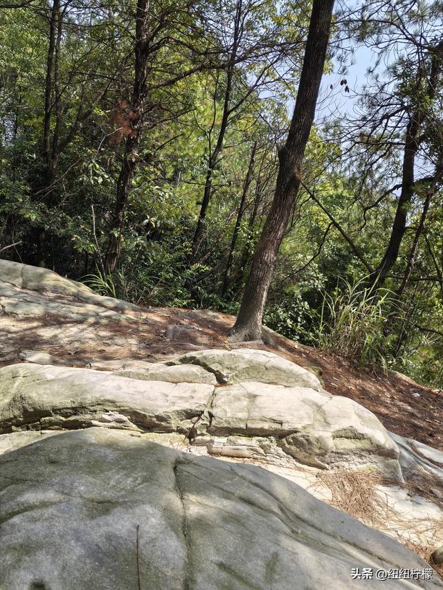 爬山，要量力而行，安全第一，爬歌乐山911更需如此