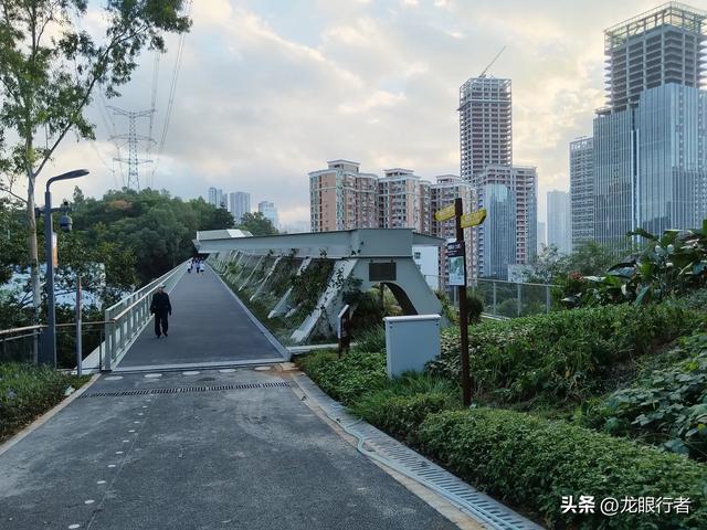 从地铁口出发,游逛刚刚开放的鲲鹏径二号及三号桥