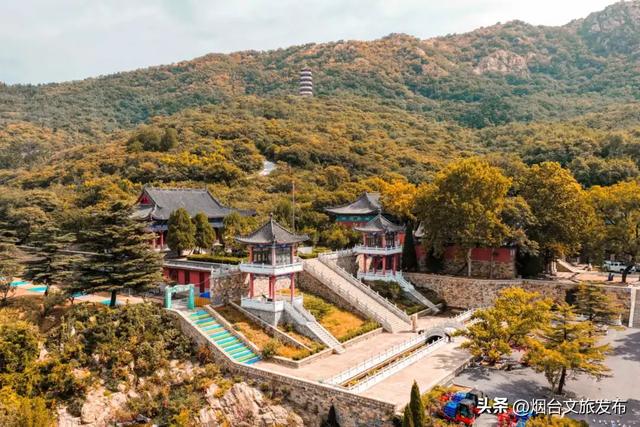 【乐游烟台】一眼惊艳!烟台这座小城最近太火了