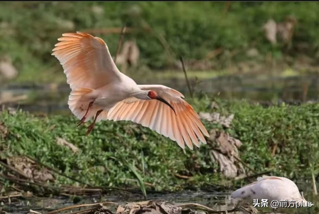 半价游西安！冬日景区福利上线