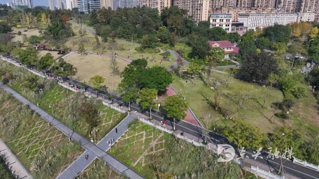 来东兴花萼湿地，感受城市的绿韵时光
