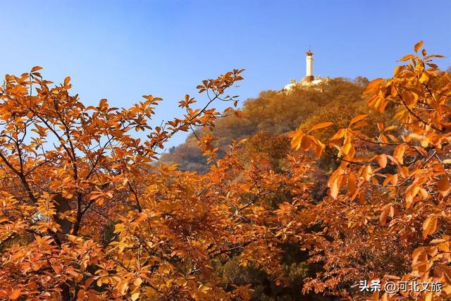 打卡保定“晒秋”小城，“松弛感”拉满