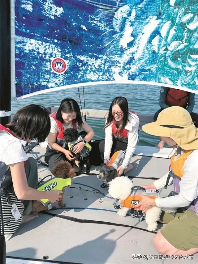 北戴河新区：从网红打卡到沉浸体验