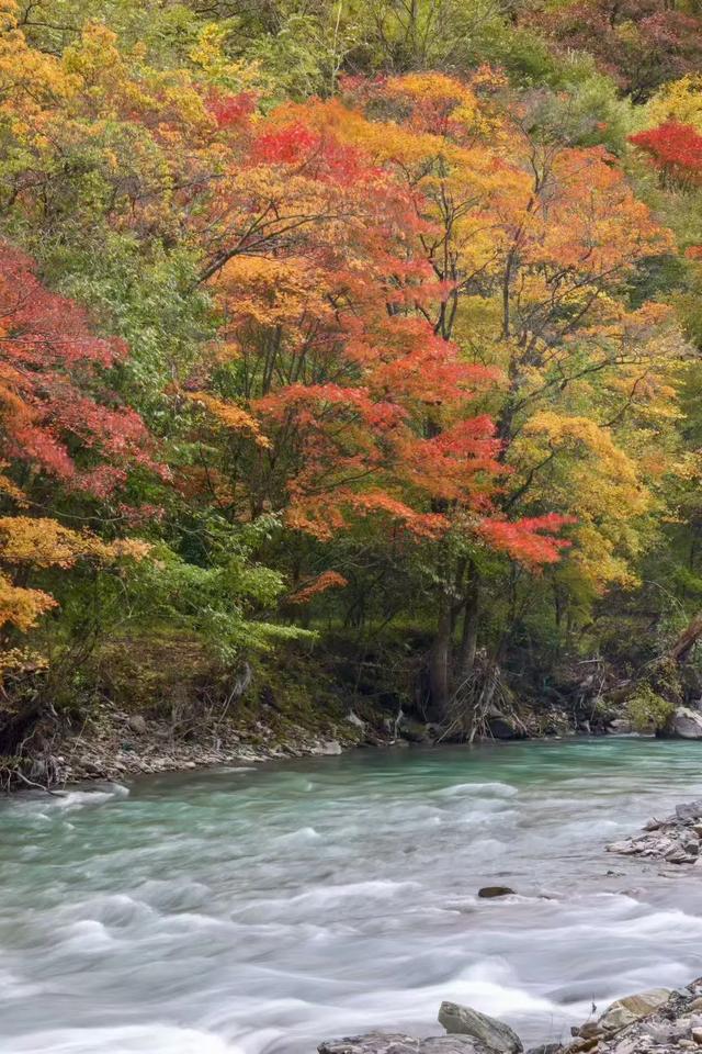 遇见金秋!来汉中,邂逅一场秋日山野浪漫之约!