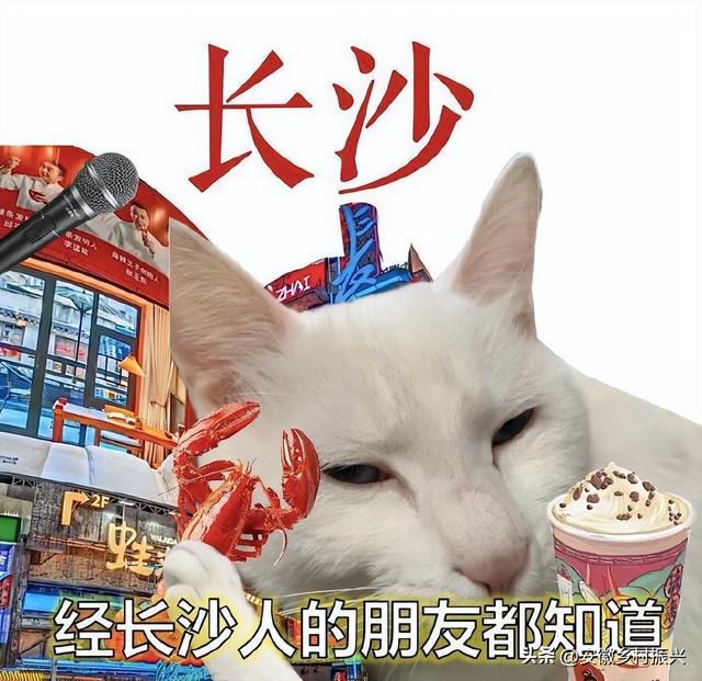 爱吃人士适合去哪个城市旅游？