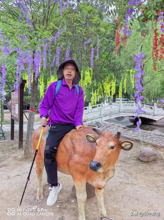 无为在歧路，武安涉县平顺临清（2）
