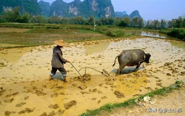 “不怕十八雨，就怕十九阴”，今日八月十九，十九阴为啥不好