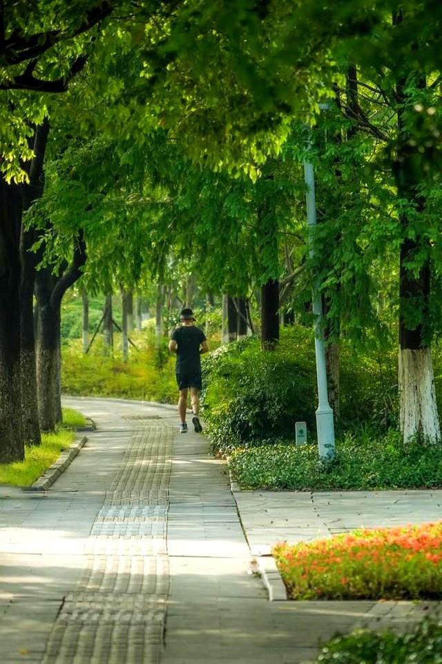 真没想到啊！太仓这些路竟然这么有来头！