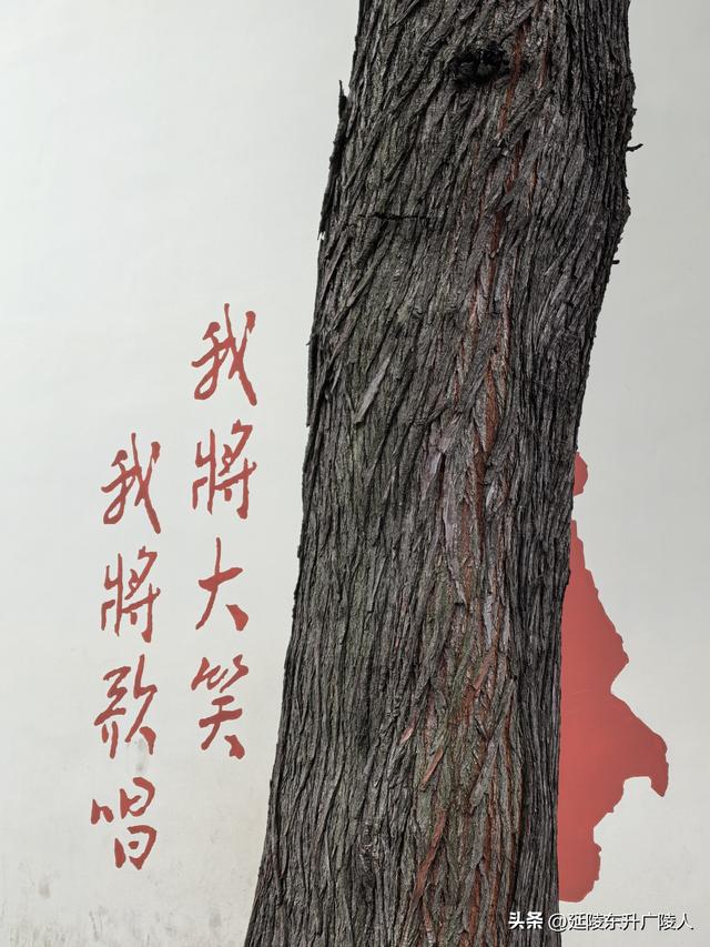 秋游绍兴鲁迅故里 从百草园到三味书屋 从城里少爷到民族脊梁