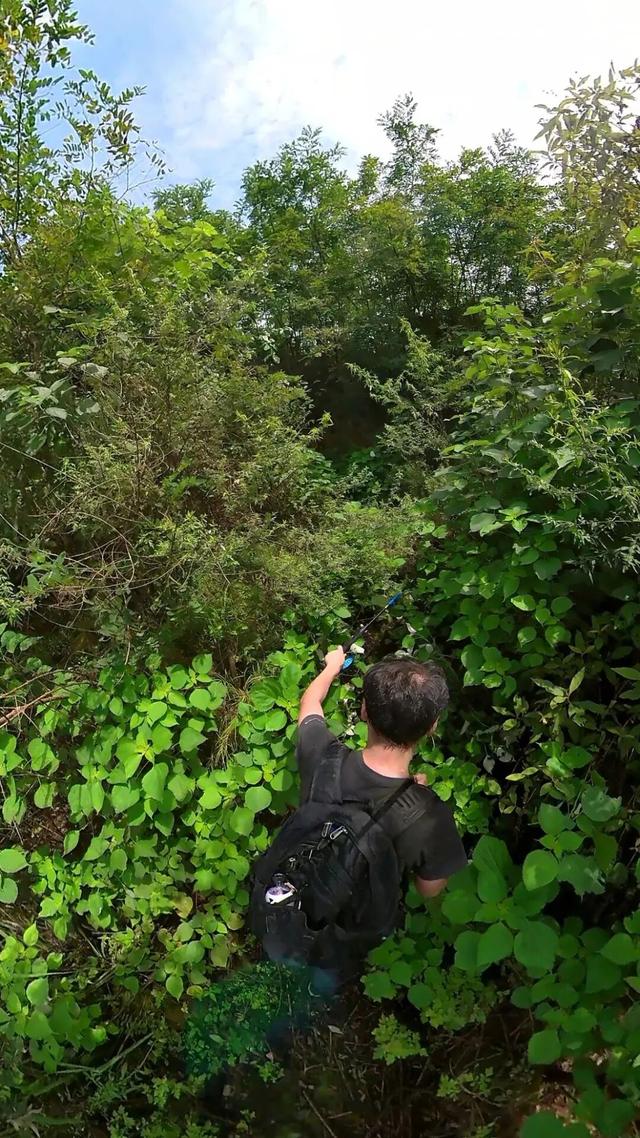 重庆北碚有一座濒临消失的古寨，寨主竟曾是美国总统罗斯福的同学