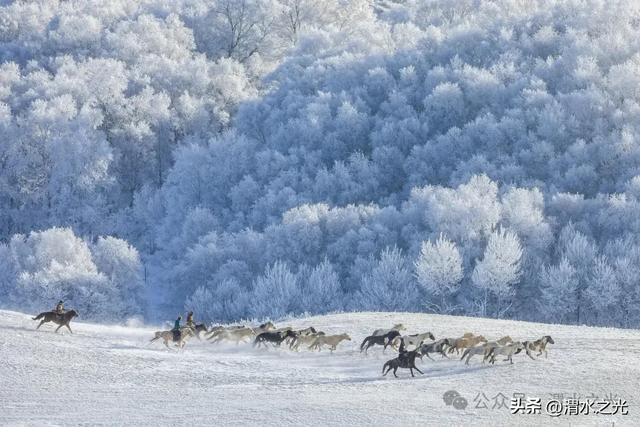 【内蒙古】塔娜：雪落草原，岁暖大雪