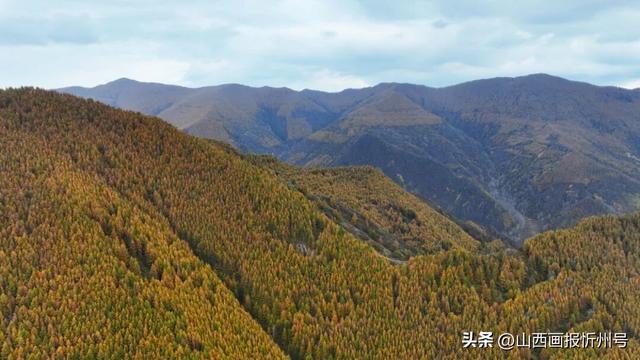 金秋五台山 醉美山色入画来
