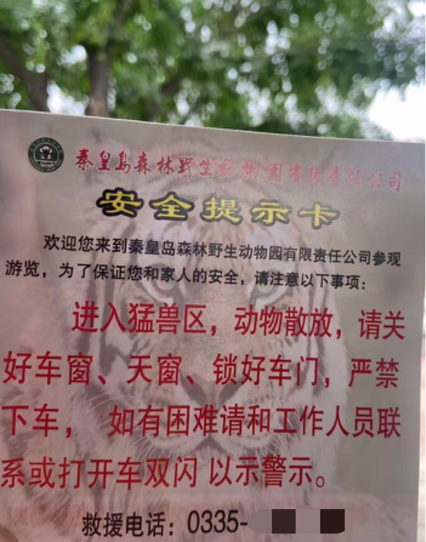 秦皇岛野生动物园猛兽区两车剐蹭，游客竟下车理论，老虎逼近瞬间头皮发麻！