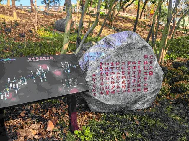 齐山·平天湖风景区： 让千年诗词“活”在山水间