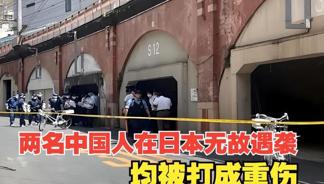 好言难劝该死的鬼？赴日旅游警示下	，执意飞日本的国人到底图啥
