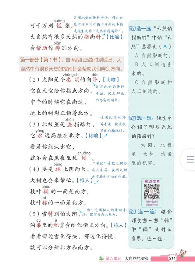 二年级下册语文，第六单元《要是你在野外迷了路》笔记+课堂解析